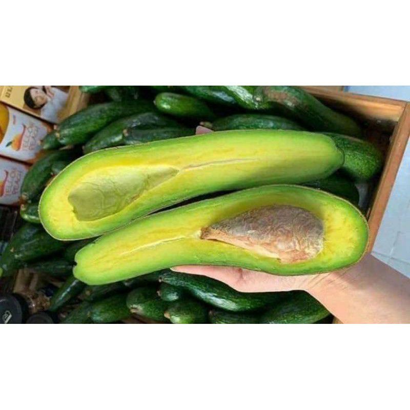 Bơ 034, bơ sáp dẻo vàng, bơ sạch đặc sản Lâm Đồng | BigBuy360 - bigbuy360.vn