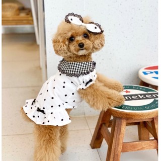 Set đầm chấm bi kèm nơ chó mèo