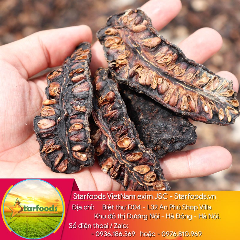 Quả nhàu chín khô Tâm Thành – hàng xuất khẩu loại đặc biệt - 1kg | BigBuy360 - bigbuy360.vn