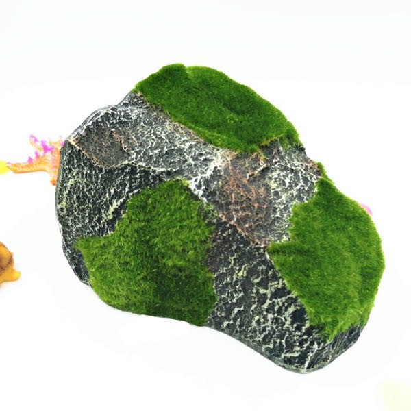 Hang ẩn náu cho bò sát nhện bọ cạp rùa ếch rắn