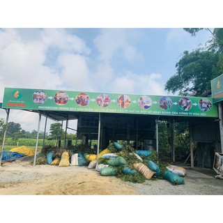 Tinh dầu sả chanh - Hoa Nén