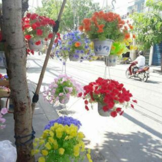 Hoa giấy lụa
