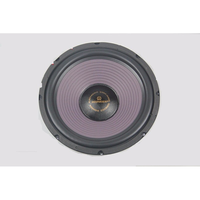 Sản phẩm loa Bass 20 Pioneer-Loa có âm thanh cân bằng tự nhiên, dải âm rộng, sự biến động dải âm rộng