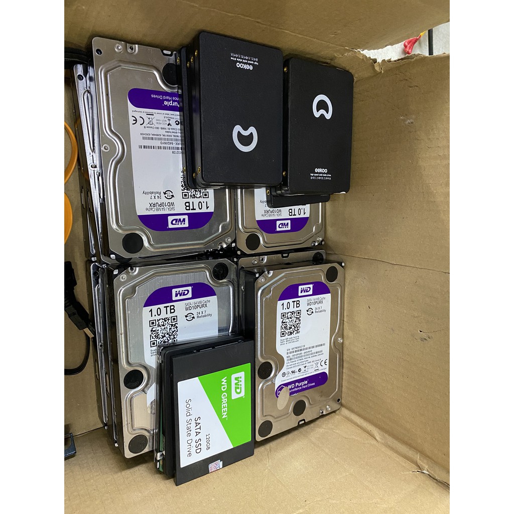 Ổ cứng HDD 1T purple Renew