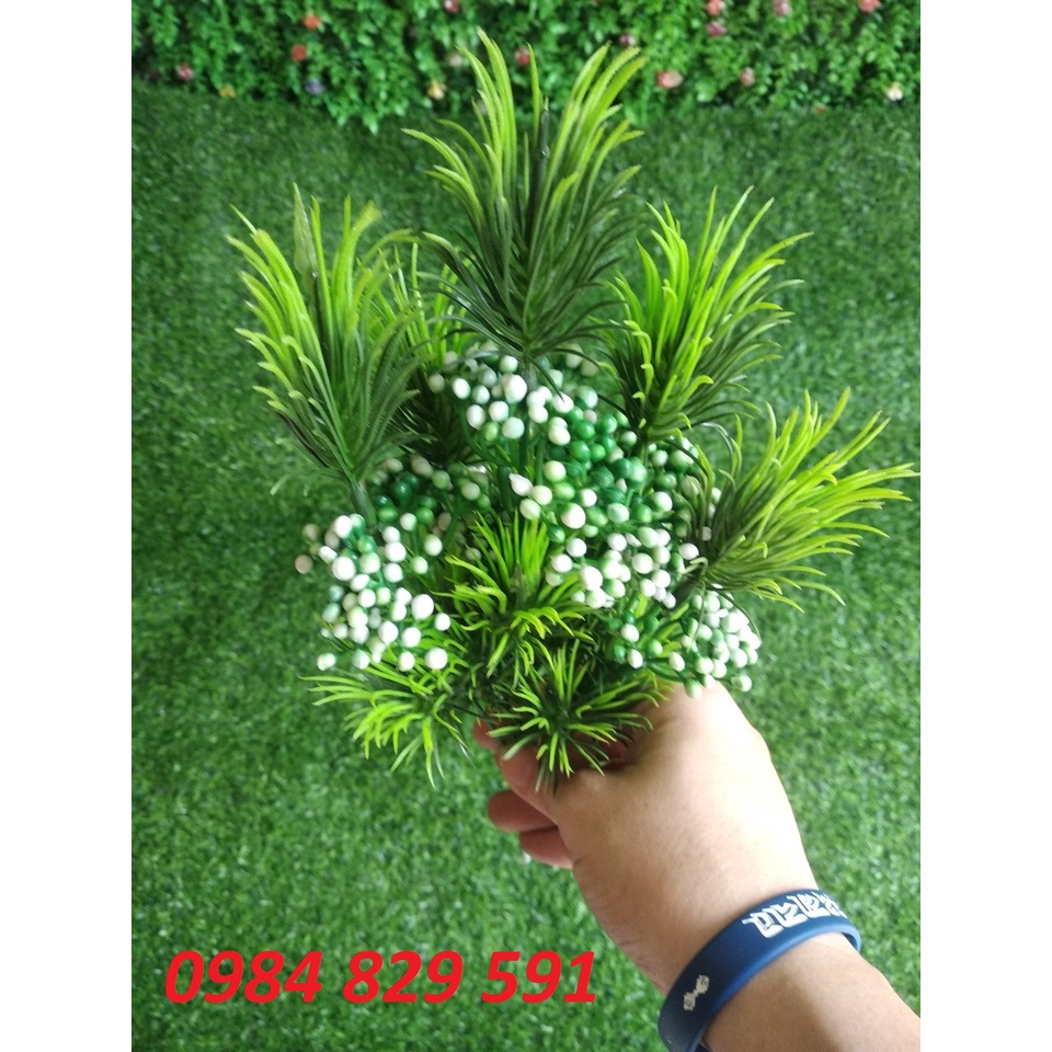 Cành tùng điểm có hoa trang trí decor