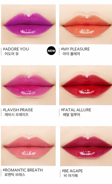 GOM ORDER SALE - SON PONY EFFECT FAVOURITE FLUID LIP TINT