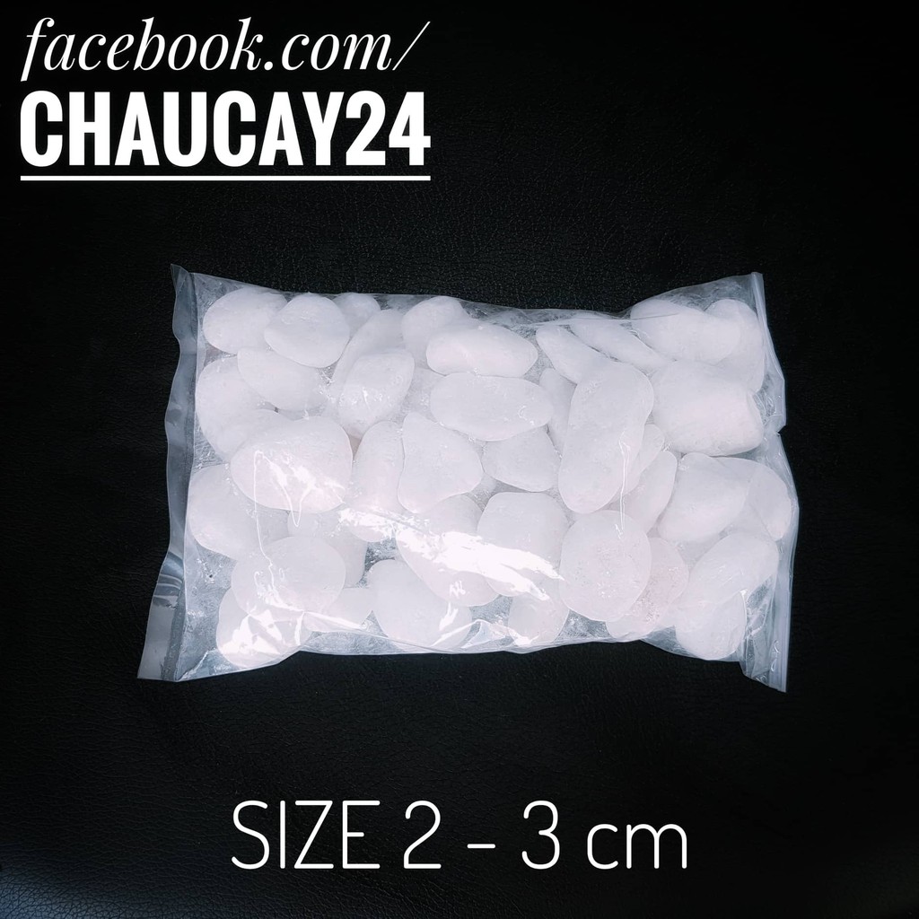 Sỏi trắng to  trang trí hồ cá, chậu cây cảnh, terrarium, sân vườn