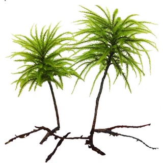 Rêu cọ dừa (Tree moss) Rêu bán cạn thuỷ sinh