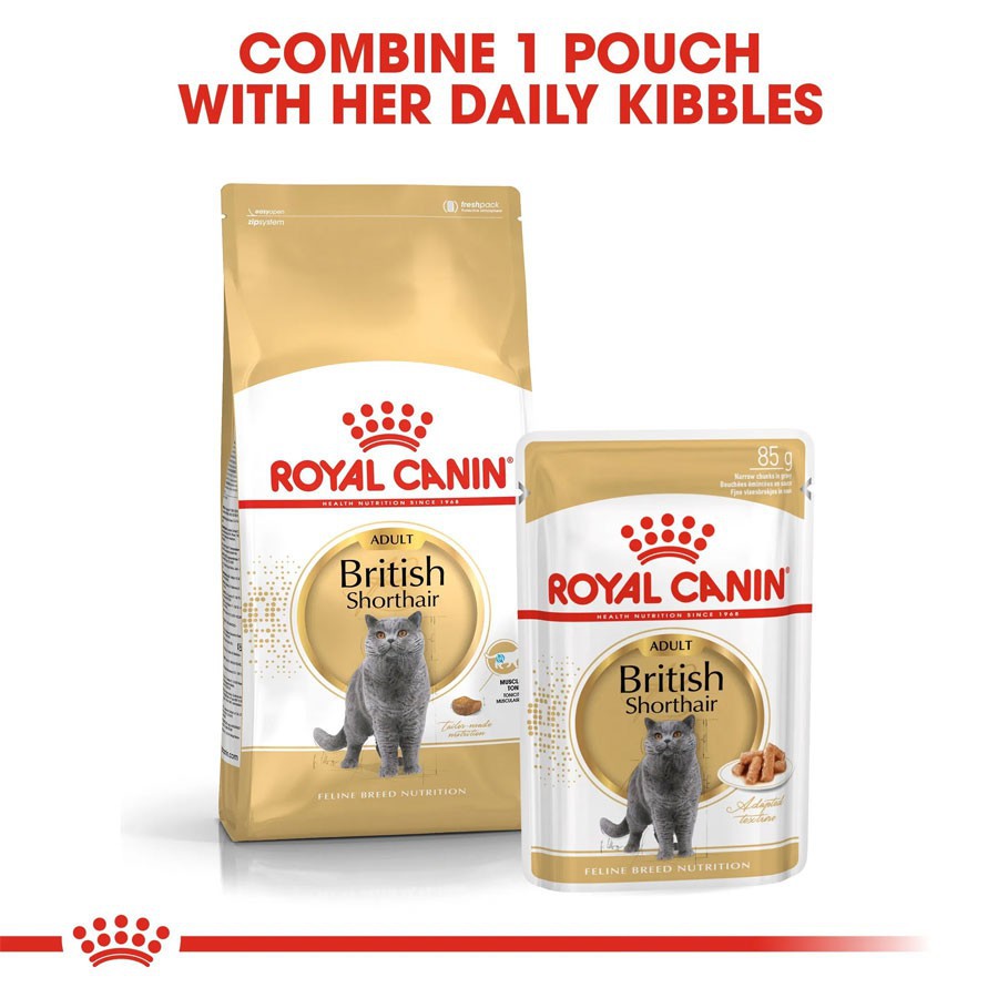 Hạt Royal Canin British Shorthair chuyên hỗ trợ cho mèo lông anh ngắn cung cấp đủ dưỡng chất protein cho bé