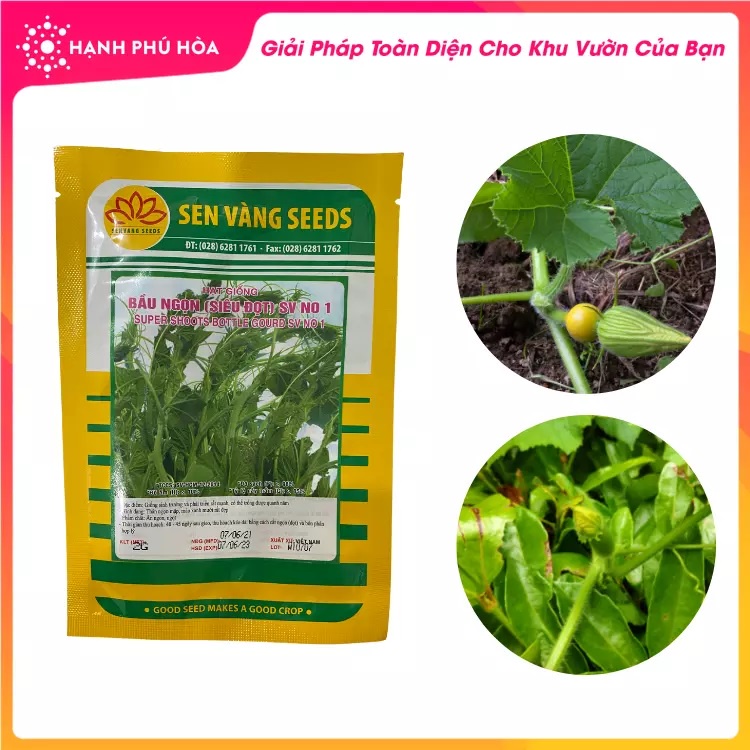GÓI 2GRAM HẠT GIỐNG BẦU NGỌN (SIÊU ĐỌT) SV NO 1 - SEN VÀNG