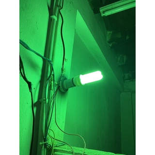 Nsv bóng đèn compact xanh 11w 220v đuôi e27