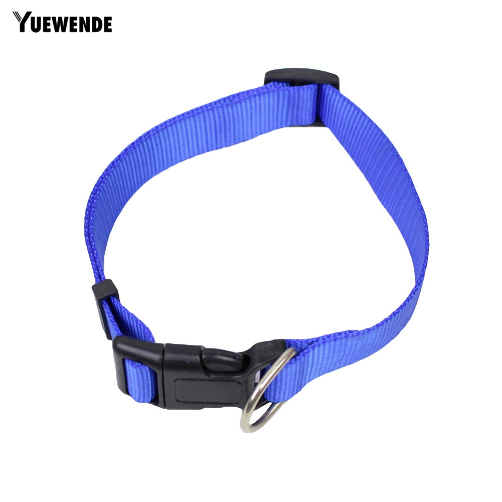 Vòng cổ an toàn đáng yêu dành cho thú cưng