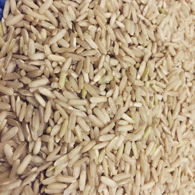 Gạo lứt séng cù Điện Biên