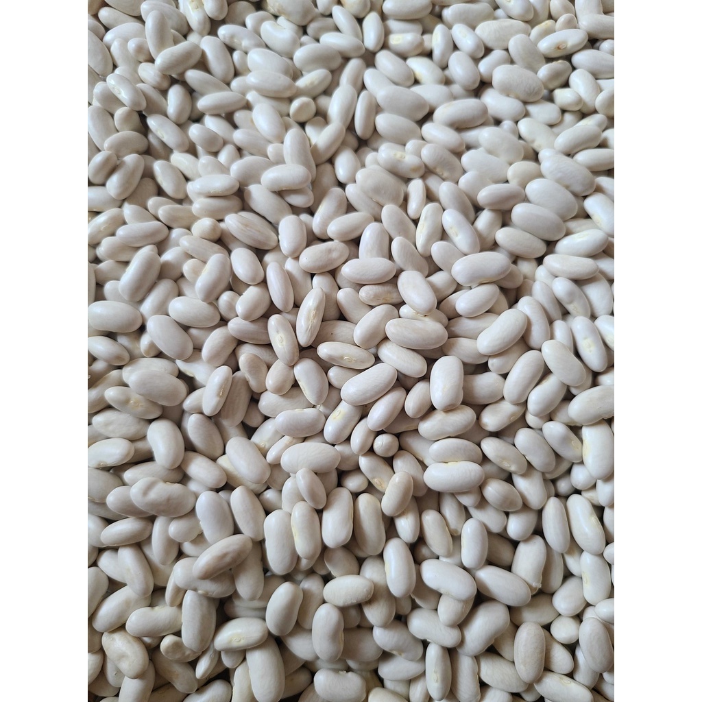 Đậu trắng hạt to chất lượng đóng trong bao hút chân không