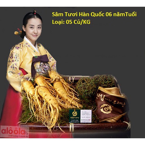 Sâm Củ tươi Hàn quốc Hộp 5 củ /1 kg