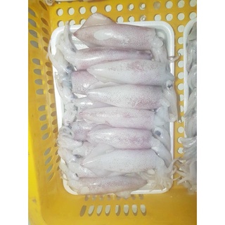 Mực trứng - size 18-20 con/ 1 kg - chỉ giao hcm