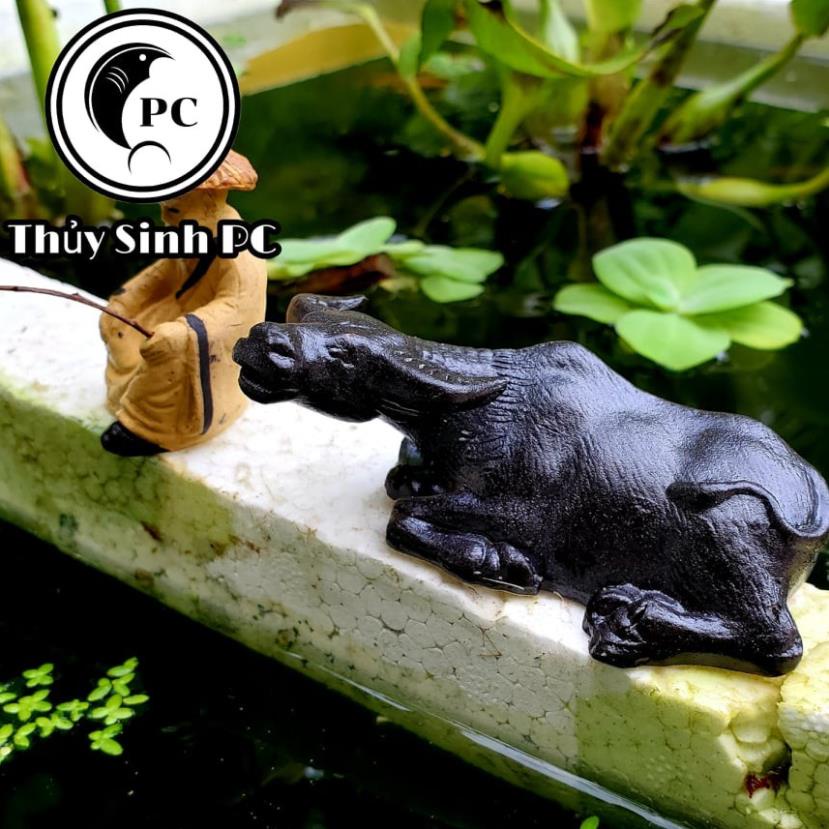 Tượng trâu nằm phơi nắng trang trí bể thủy sinh, cá, tép, tiểu cảnh, hòn non bộ