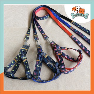 Dây dắt yếm denim windog - dắt chó đi dạo thật hào hứng