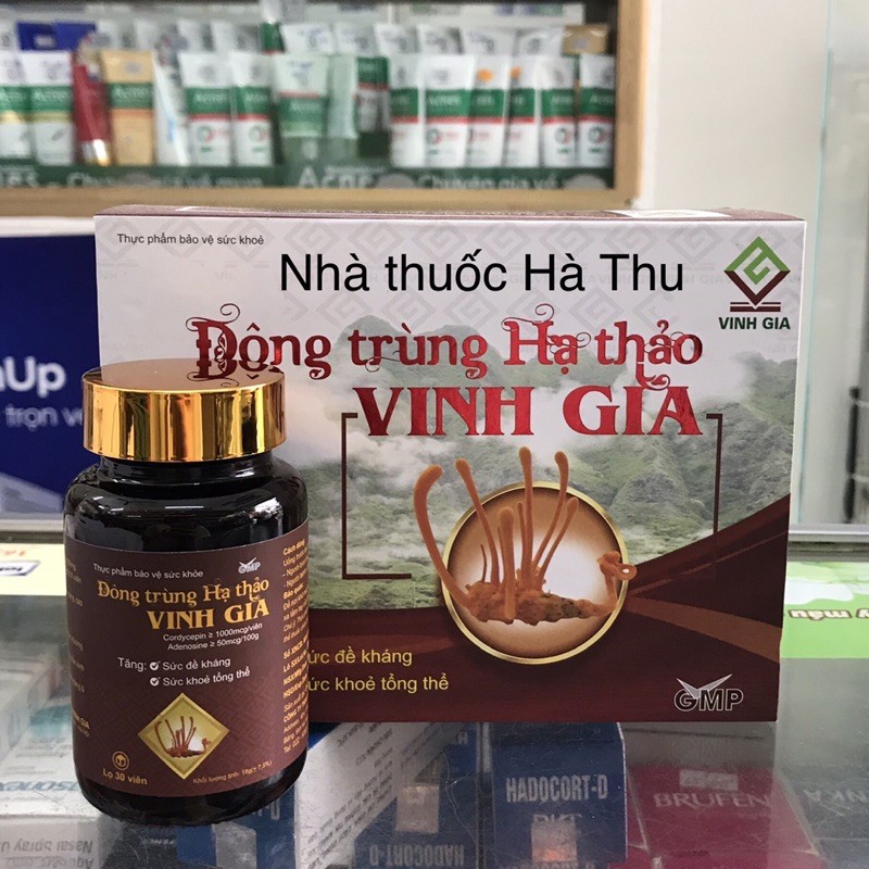 Đông trùng hạ thảo Vinh Gia