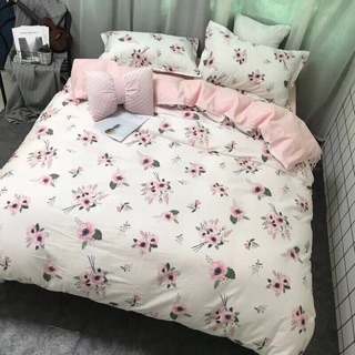 COTTON 40S HÀNG HỘP