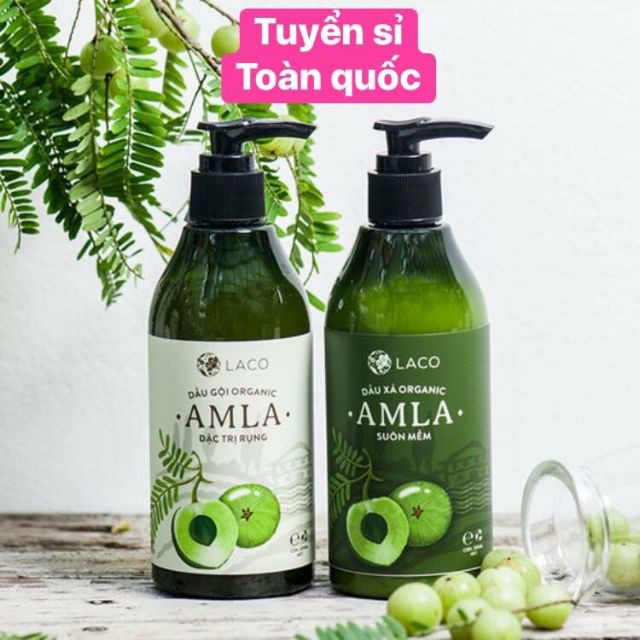 [Mẫu Mới+Chính Hãng Laco]Bộ Dầu gội – Dầu xả – Serum Amla Laco chống rụng kích thích mọc tóc