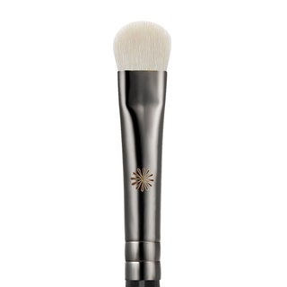 Cọ Bầu Mắt Picasso 239