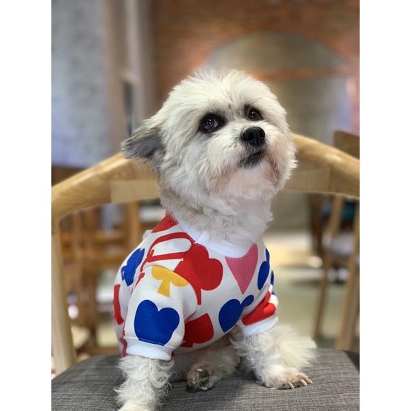 Áo có tay cho chó mèo