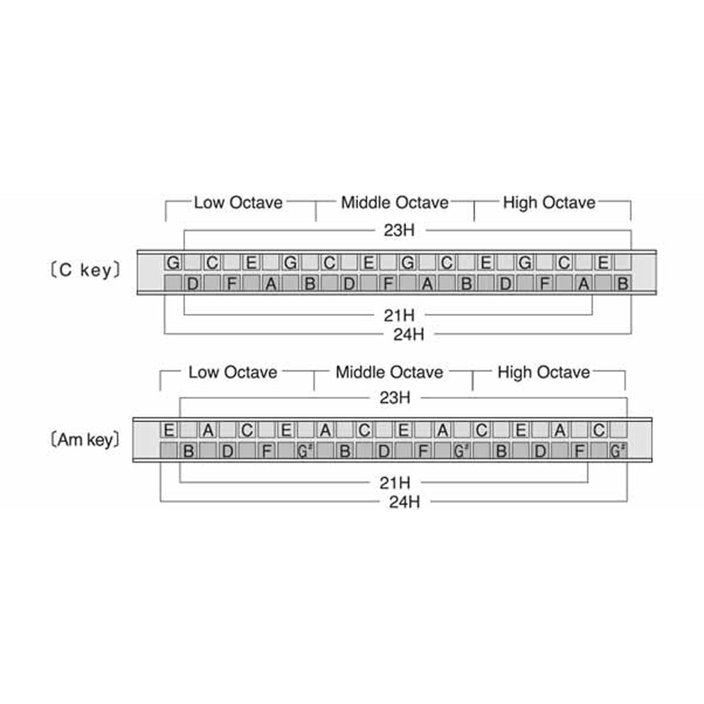 Kèn Harmonica Suzuki SU-24 lỗ 2 Timer Tremolo tone C chính hãng