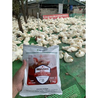 IMMUNEX BASIC - ĐỀ KHÁNG VƯỢT TRỘI  cargill provimi