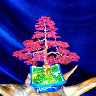 Bonsai handmade