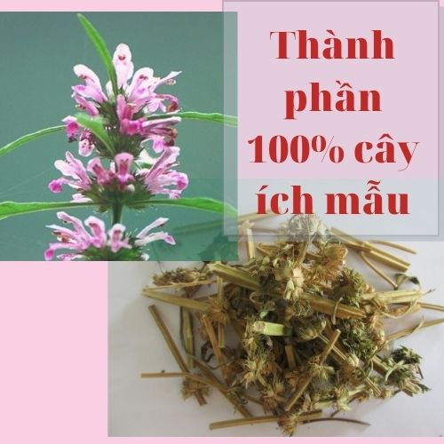 Trà Ích Mẫu  Gia Truyền Thông Cát_Trà túi lọc thảo mộc điều hòa kinh nguyệt, cân bằng nội tiết, giảm đau bụng kinh