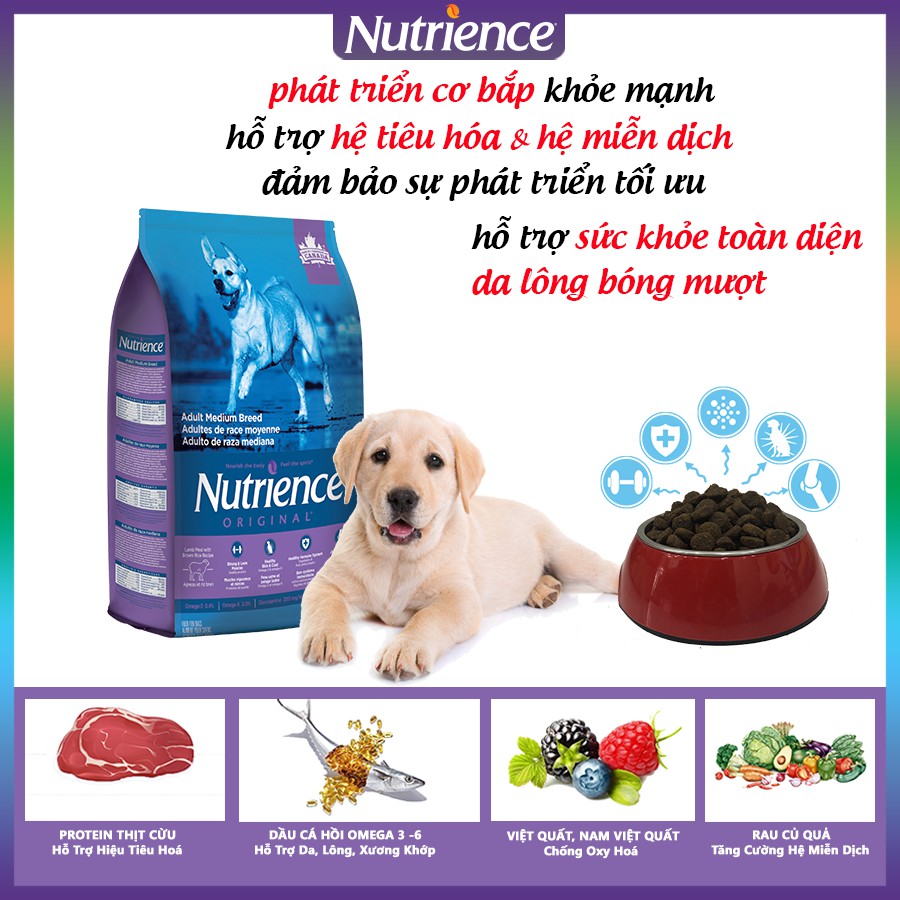 [Nhập Khẩu Canada] Thức Ăn Cho Chó Labrador Nutrience Original Bao 5kg Phát Triển Cơ Bắp - Thịt Cừu, Rau Củ, Trái Cây