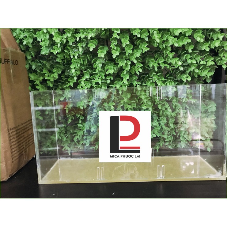 Hồ show cá 3 ngăn vuông/ bể show Guppy - Betta siêu trong cao cấp