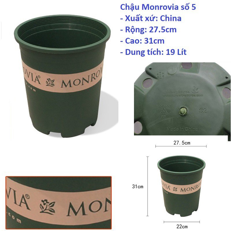 SET 3 Chậu monrovia số 5GL 28x31cm xuất xứ Trung quốc chính hãng