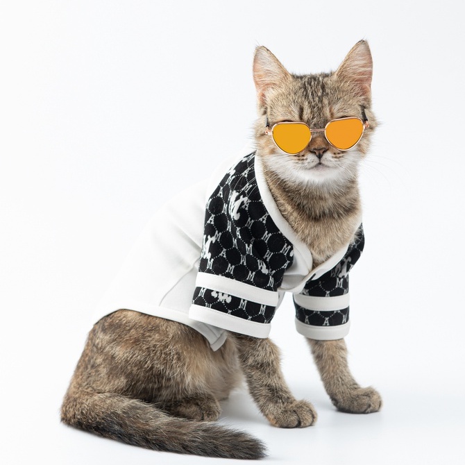 Áo Sơmi bóng chày hàng hiệu cho thú cưng - SaboCoco - Baseball Shirt - TAY TRẮNG HỌA TIẾT CHỮ M