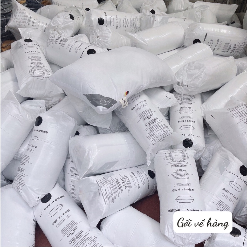 SÉT 2 RUỘT GỐI LÔNG VŨ KHÁNG KHUẨN  JAPAN