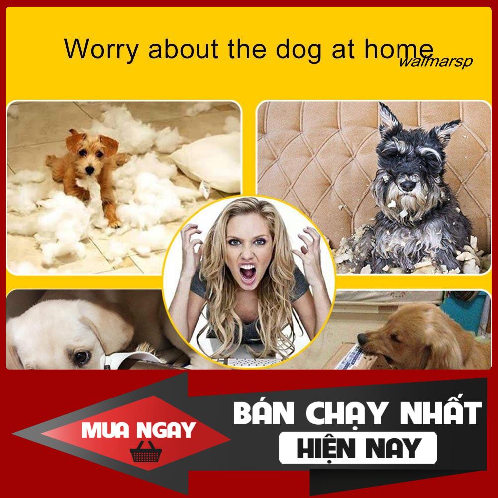 [❌GIÁ SỈ❌] Đồ Chơi Gặm Nướu Hình Tròn Có Âm Thanh Cho Thú Cưng 0 ❤️