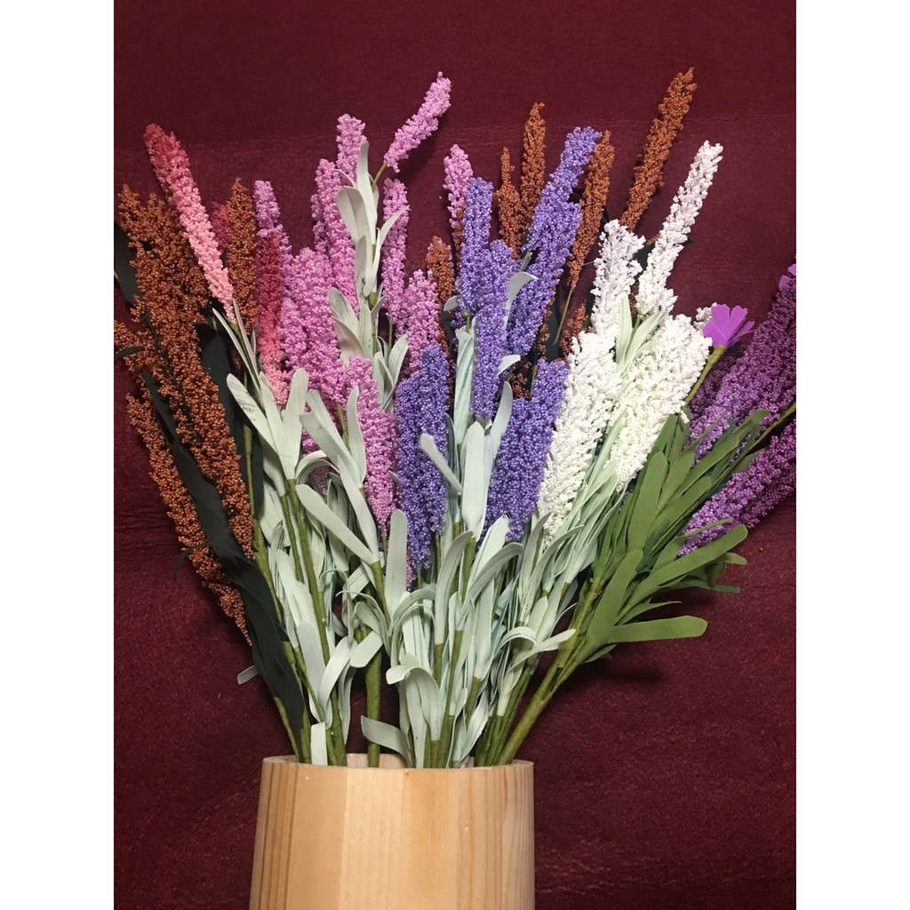 HOA LAVENDER TRANG TRÍ