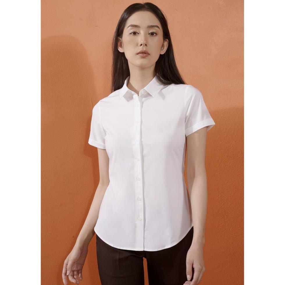 Áo sơ mi modal ngắn R269-1 NỮ TNG Đẹp