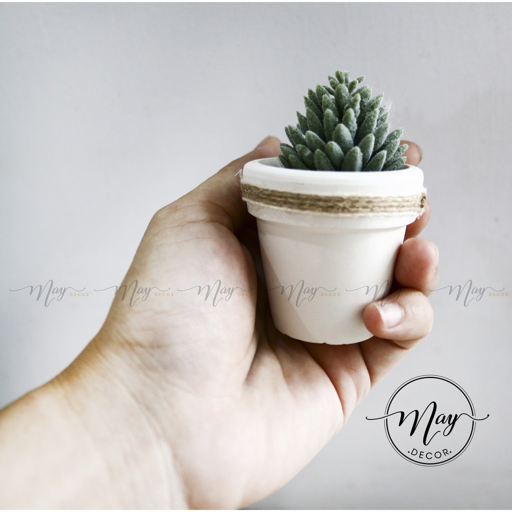 Cây giả - Chậu cây mini size 5cm - trang trí, chụp ảnh, quà tặng ý nghĩa