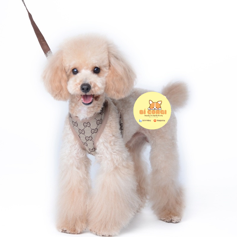 Dây dắt chó mèo đi dạo, dây nịt ngực cho thú cưng LUXURY, lưới ngực lưng thoáng khí