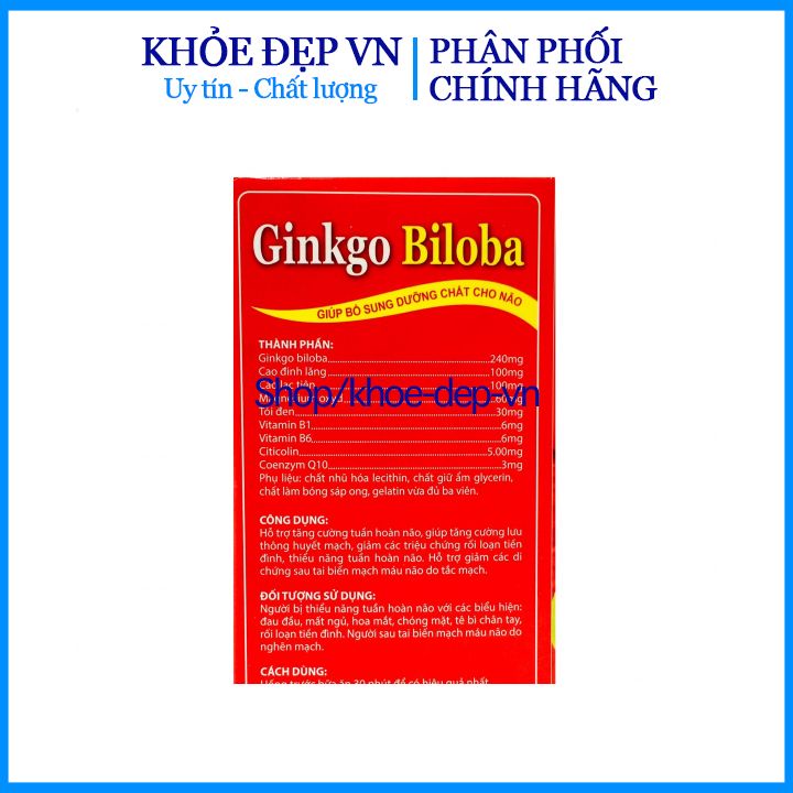 Viên uống bổ não GINKGO BILOBA 240mg giúp tăng cường trí nhớ, tăng tuần hoàn máu não, ngừa tai biến – HỘP 100 viên