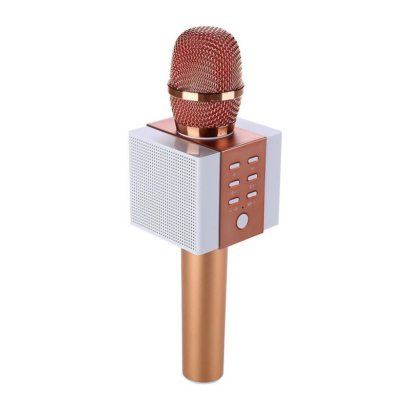 Micro Karaoke Tosing T008