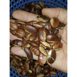 🥜 HẠT KƠNIA 🍃🍃CÓ SẴN