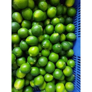 1kg chanh tươi nhà trồng