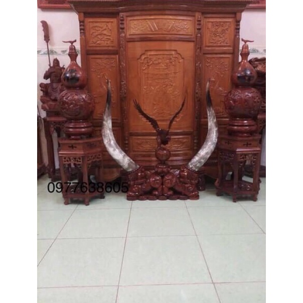 💵 Tỳ Hưu ngậm sừng bò châu phi