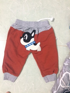 Quần mông thú 8-16kg
