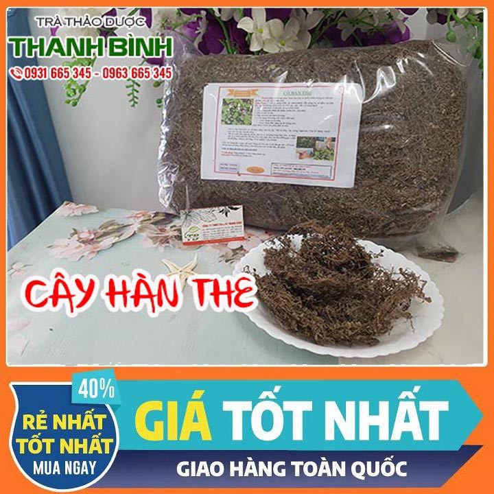 Cây Hàn The 100g - Thuốc Nam Hàng Công Ty