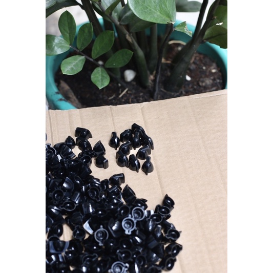 Núm đầu gà size mini