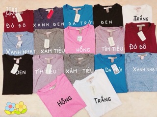 Áo cotton f21